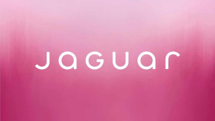 JAG26GL 303104414 FUTURE JAG FJ DX NAV%20(2)