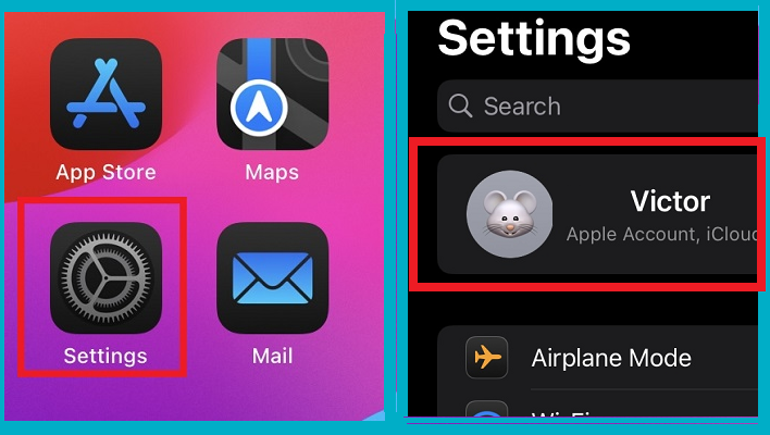 body settings iphone tap name backup