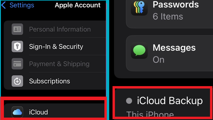 body2 settings iphone tap name backup