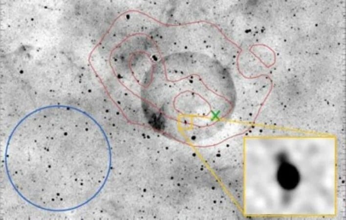 teleios zoom1