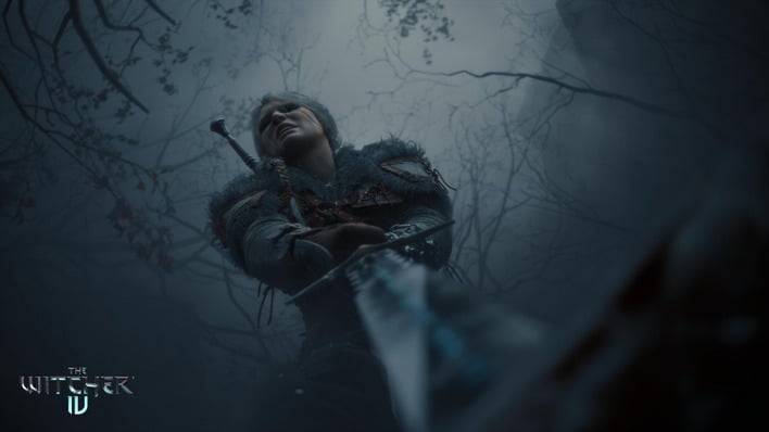cd projekt red open world games body