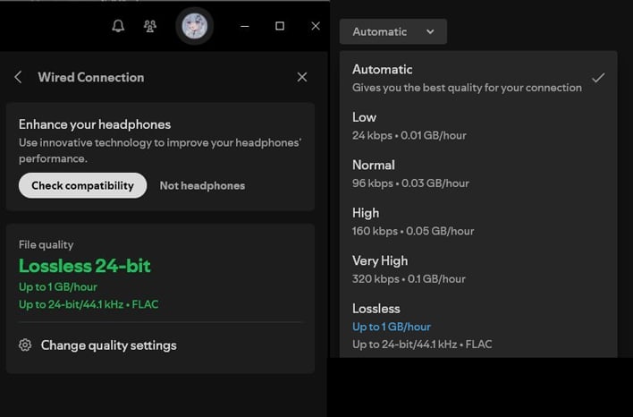 options spotify lossless finally news