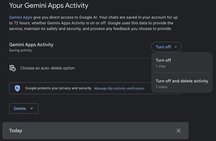 gemini settings google gemini privacy concerns news