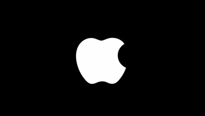 body apple lawsuit copyright ai model training