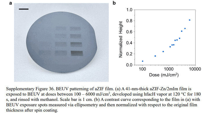 supplementary figure 36