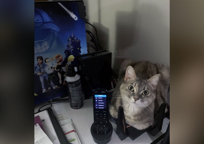 Pixel the cat on an ASUS ROG Rapture GT-AX1000 router.