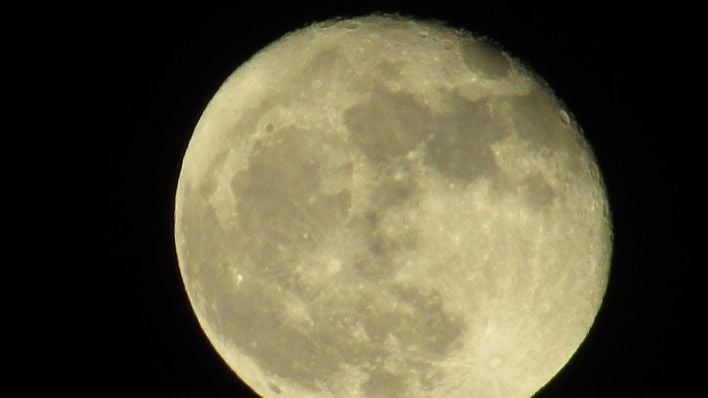 Beaver Moon erreicht diese Woche seinen Höhepunkt und bietet einen ...