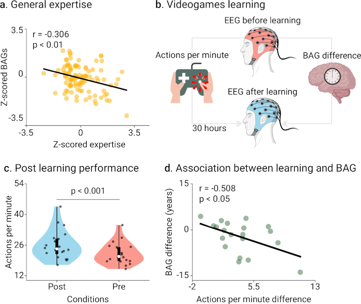 Multiple Studies Say Video Games Can Boost Brain Power And Fight Burnout