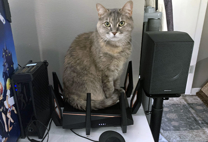 Cat sitting on a router.