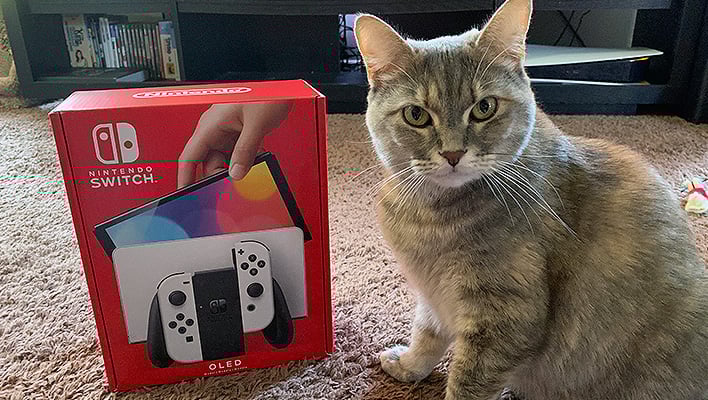 Cat named Pixel next to a Nintendo Switch OLED box.