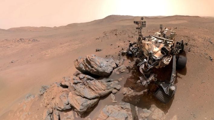 rover selfie