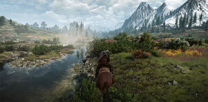 the witcher free to play body