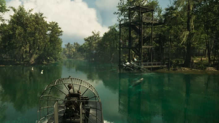 The Swamp.