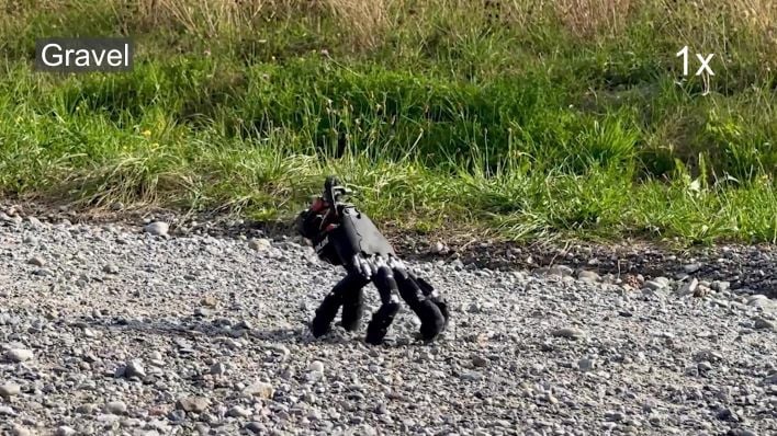 A creepy-crawly or engineering marvel, or both?