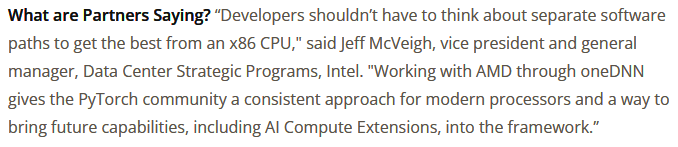 what are partners saying intel amd onednn